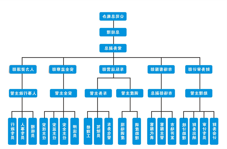 企业构架图