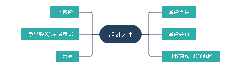 项目经理必背技巧