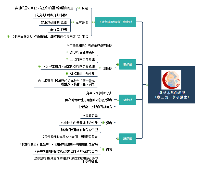 生物复习思维导图